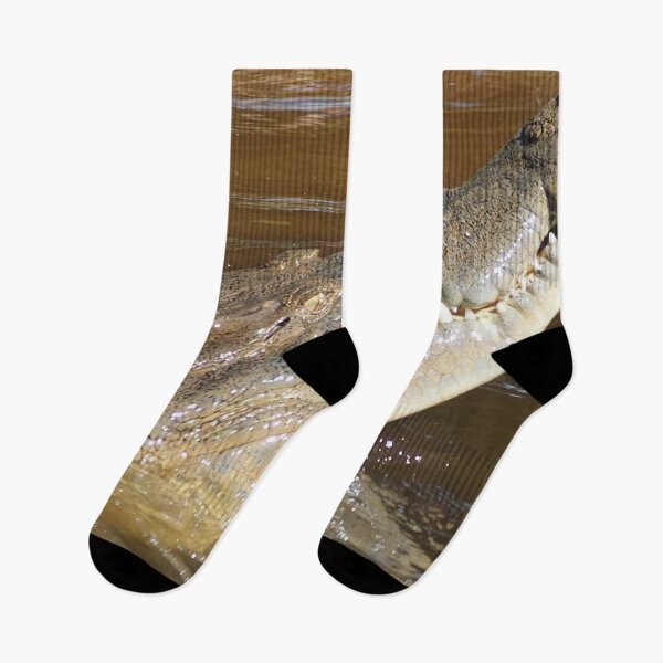 Item preview, Australian Saltwater Crocodile Head Photo designed and sold by Gotcha29.