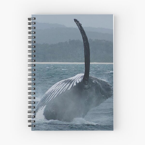 Item preview, Whale Breaching designed and sold by Gotcha29.
