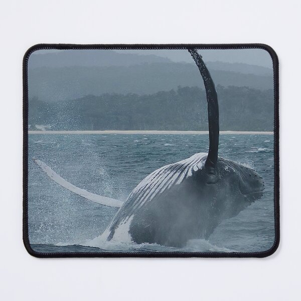 Item preview, Whale Breaching designed and sold by Gotcha29.