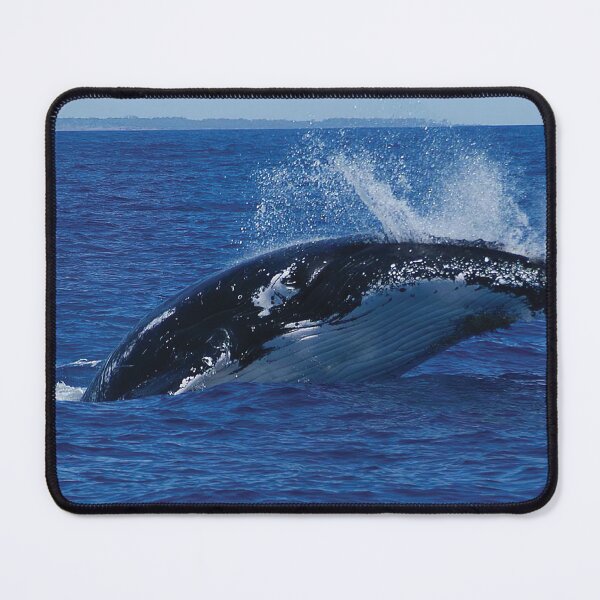 Item preview, Whale Breaching designed and sold by Gotcha29.