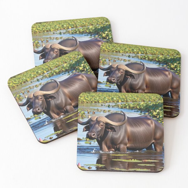 Item preview, Water Buffalo in the Lily pads in a Kakadu creek designed and sold by Gotcha29.
