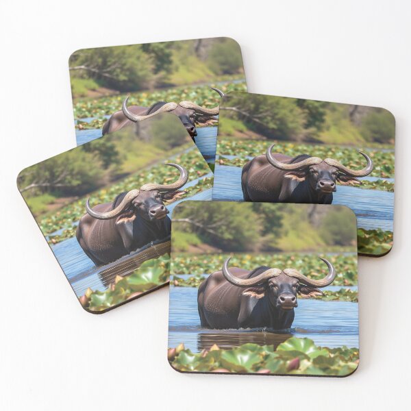 Item preview, Water Buffalo in Lily pads designed and sold by Gotcha29.