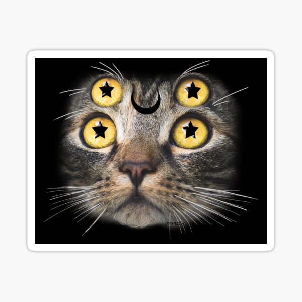Item preview, Four Eyed Cat designed and sold by Bat13SJx.