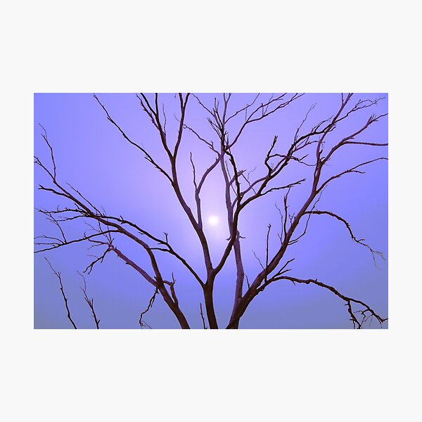 Item preview, FOGGY MORNING designed and sold by Asoka.