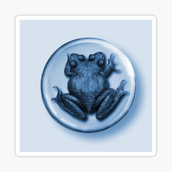 Item preview, Two Headed Blue Frog! designed and sold by DEREK MOORE.