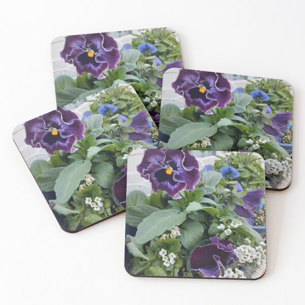 Item preview, Purple Pansy Flower Violas Alyssum Flowers Photo designed and sold by Sarah  Rajkotwala.