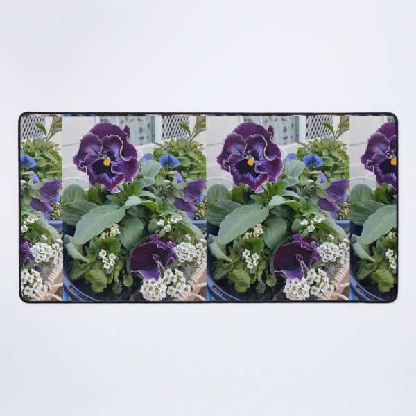 Item preview, Purple Pansy Flower Violas Alyssum Flowers Photo designed and sold by Sarah Rajkotwala.