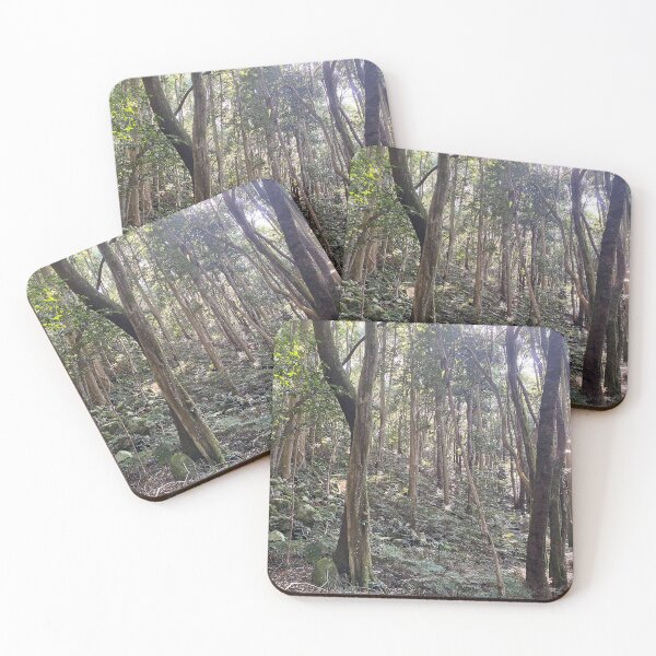 Item preview, Magical Rainforest designed and sold by Arcane Botanica.