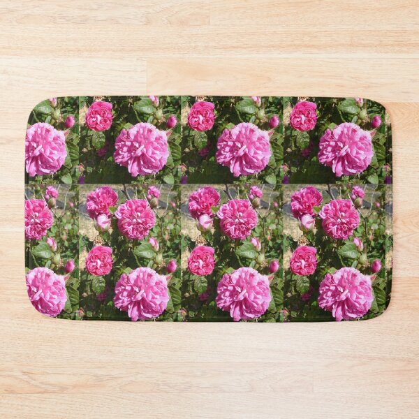 Item preview, Purple Rose Vintage Roses Pink Photo - Rose De Resht designed and sold by Sarah  Rajkotwala.