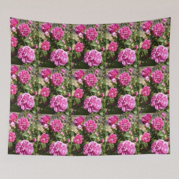 Item preview, Purple Rose Vintage Roses Pink Photo - Rose De Resht designed and sold by Sarah  Rajkotwala.