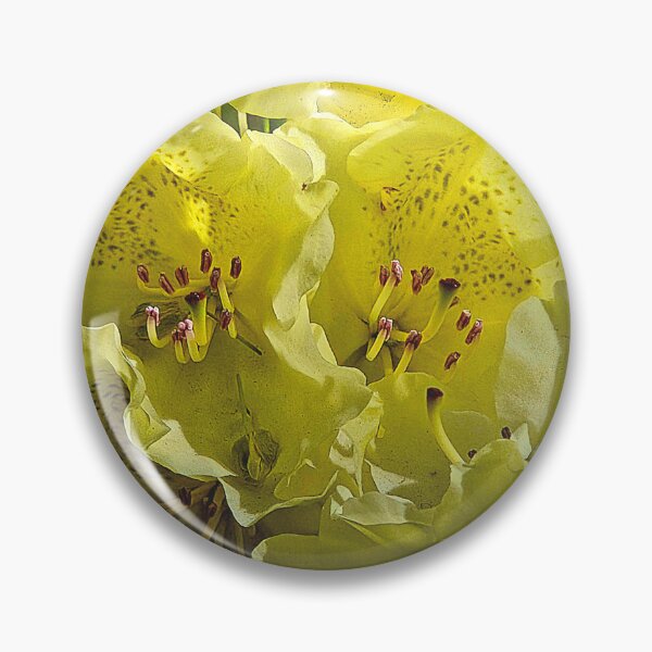 Item preview, Bloom Brightly  designed and sold by Betsy Phillips.