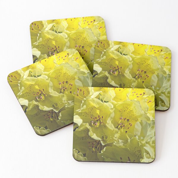 Item preview, Bloom Brightly  designed and sold by Betsy Phillips.