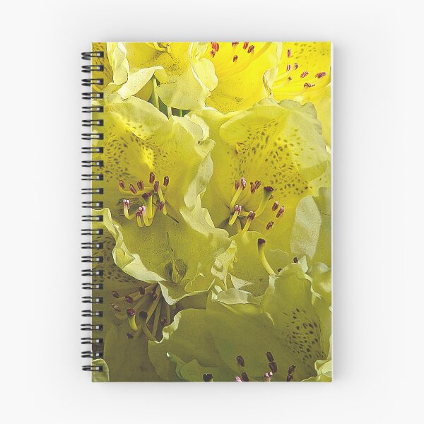 Item preview, Bloom Brightly  designed and sold by Betsy Phillips.