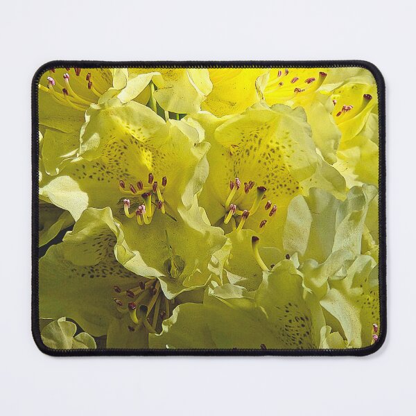 Item preview, Bloom Brightly  designed and sold by Betsy Phillips.