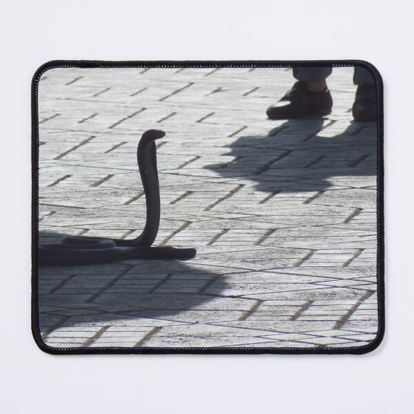 Item preview, Cobra, Jemaa El-Fna, Marrakesh designed and sold by wiggyofipswich.