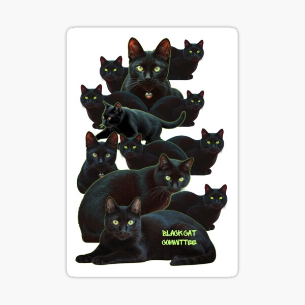 Black cat commitee Sticker