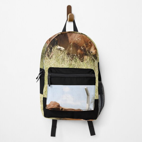 Item preview, Cows grazing in a pasture in Kajiado. designed and sold by Jamesk82.