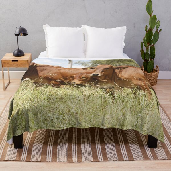 Item preview, Cows grazing in a pasture in Kajiado. designed and sold by Jamesk82.