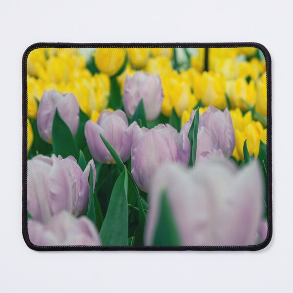 Item preview, Tulips in Amsterdam designed and sold by JackieMCreates.