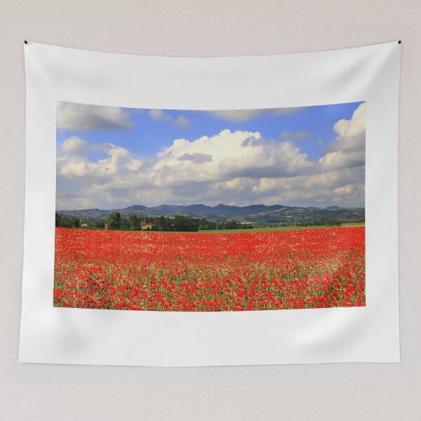 Aperçu de l'œuvre Coquelicots en Toscane créée et vendue par annalisa56.