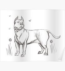 American Staffordshire Terrier Poster