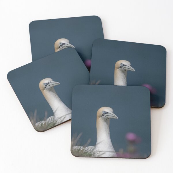 Item preview, Gannet designed and sold by Flyal4.
