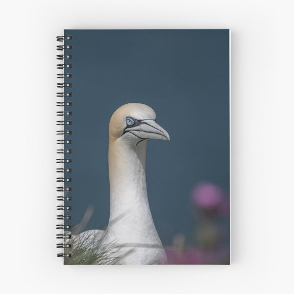 Item preview, Gannet designed and sold by Flyal4.
