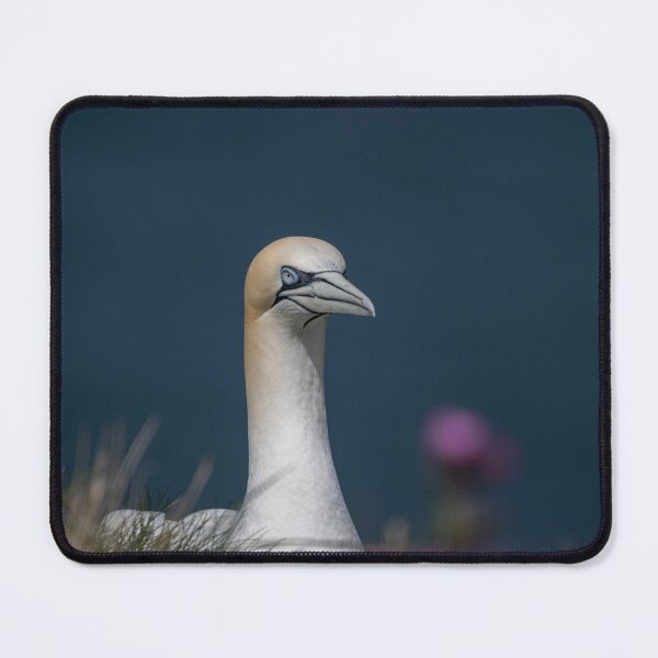 Item preview, Gannet designed and sold by Flyal4.