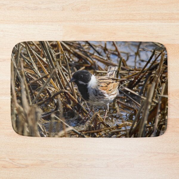 Item preview, Reeds reeds always reeds. Common reed bunting designed and sold by Jouko Lehto Photography.