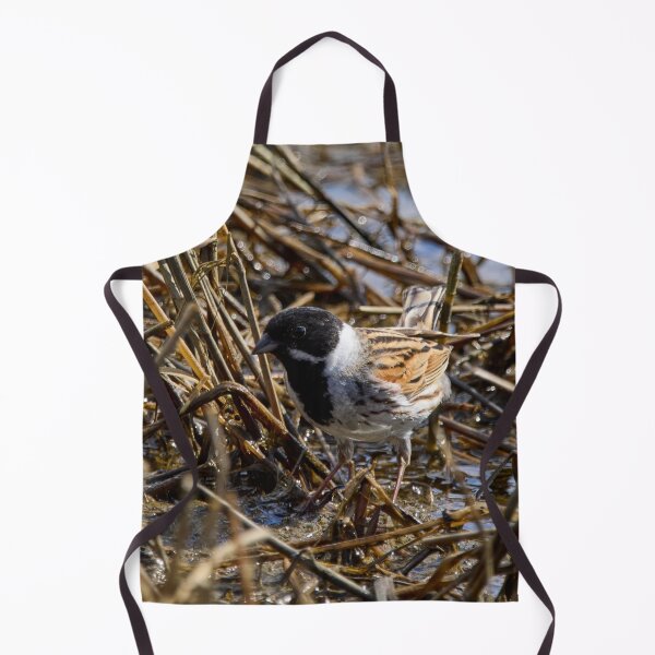 Item preview, Reeds reeds always reeds. Common reed bunting designed and sold by Jouko Lehto Photography.