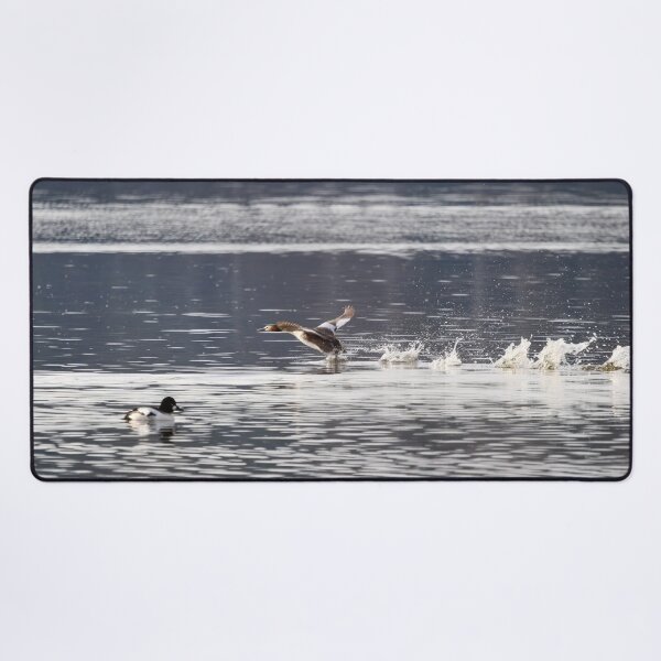 Item preview, Runner up. Great crested grebe designed and sold by Jouko Lehto Photography.