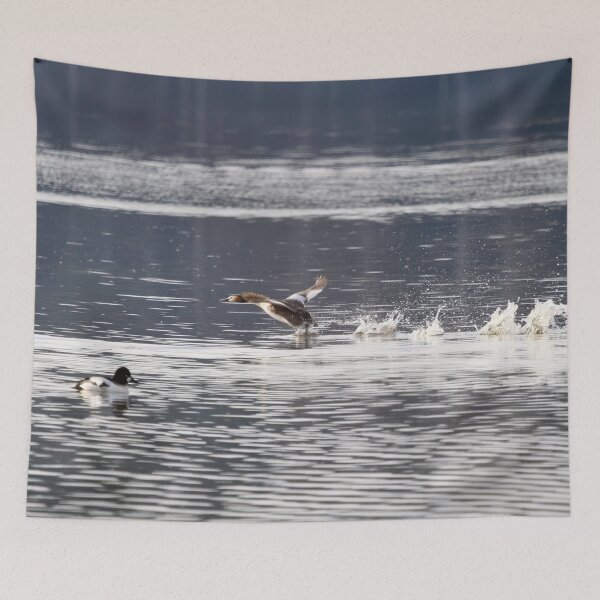 Item preview, Runner up. Great crested grebe designed and sold by Jouko Lehto Photography.