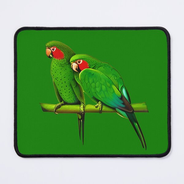 Item preview, Green and Red African Parrots designed and sold by Marymarice.