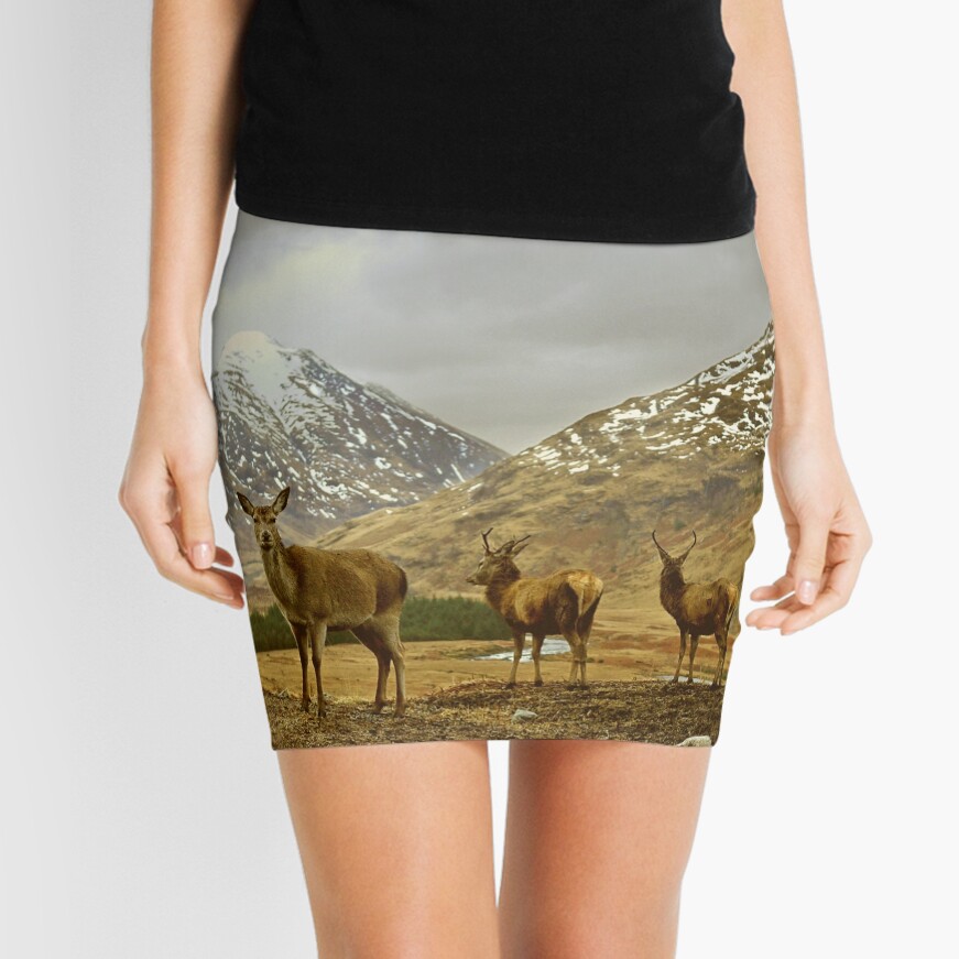 Item preview, Mini Skirt designed and sold by tontoshorse.