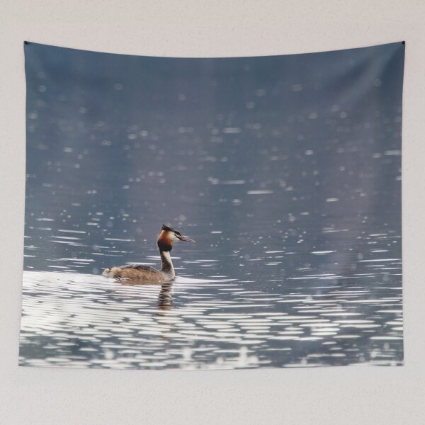 Item preview, Calm and cool. Great crested grebe designed and sold by Jouko Lehto Photography.