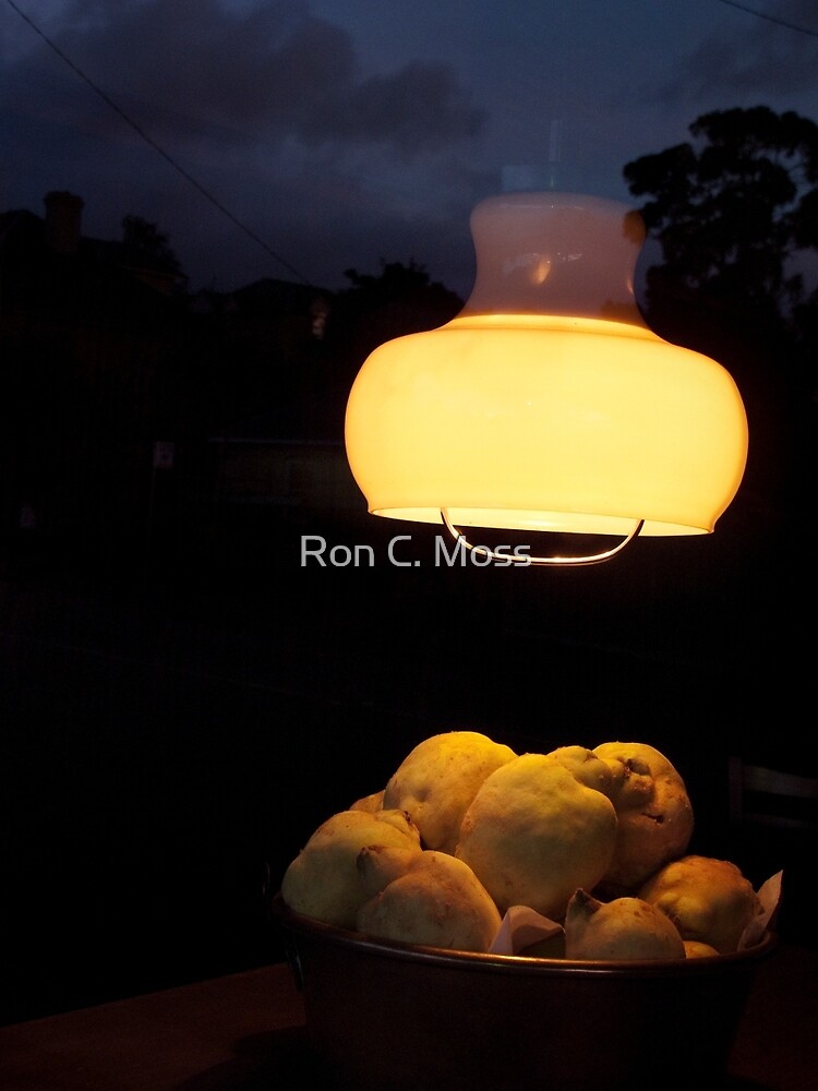 Night Skins 2 by ronmoss