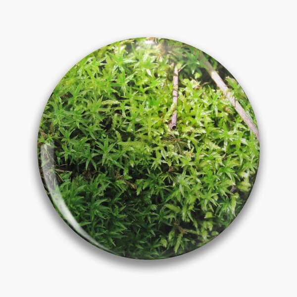 Item preview, Moss  designed and sold by McFleur's Lens.