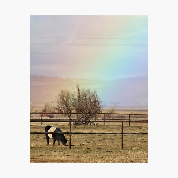 Item preview, HAPPY COW eating under a rainbow! designed and sold by TheresaMaeCox.