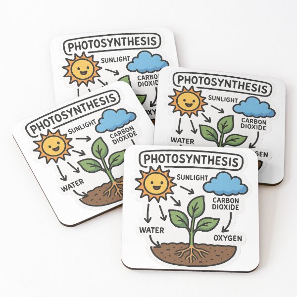 Item preview, Photosynthesis Diagram for Kids  designed and sold by Molecularmerch.