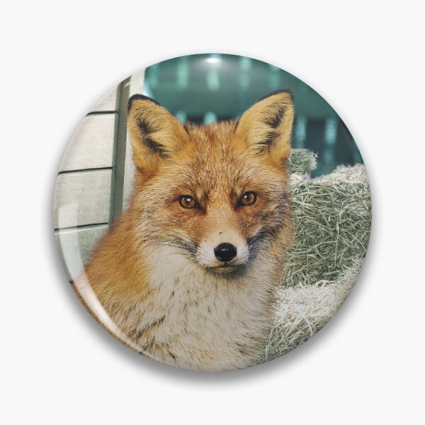 Item preview, The Fox Guarding The Henhouse designed and sold by DigitalShoppeIL.