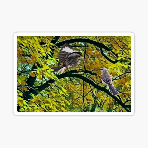 Item preview, Northern Mockingbird designed and sold by billfox256.