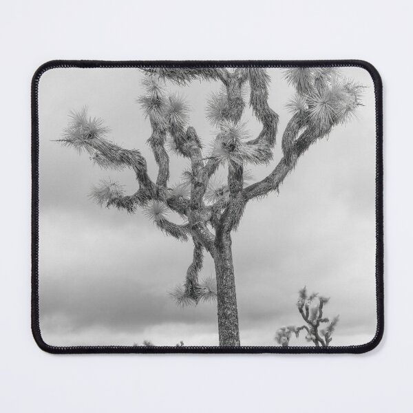 Item preview, Solitary Joshua Tree designed and sold by Gerard Fornarotto.