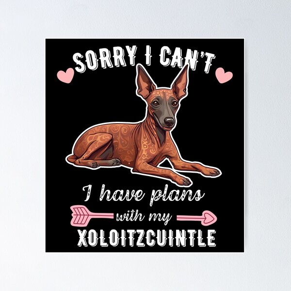 Item preview, Sorry I Can't, I Have Plans With My Xoloitzcuintli – Ancient Hairless Dog Design designed and sold by GoodyPaws.