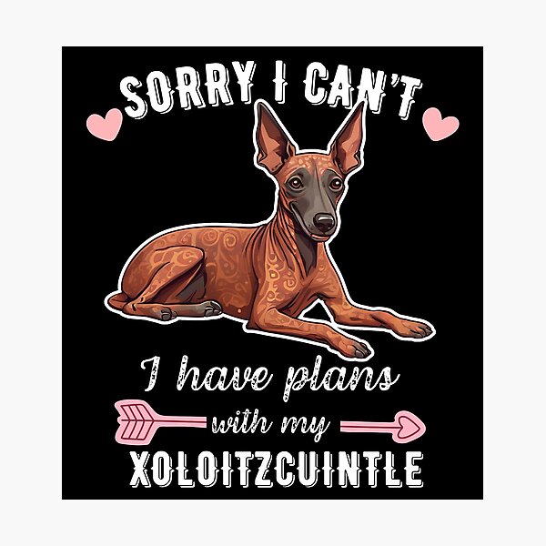 Item preview, Sorry I Can't, I Have Plans With My Xoloitzcuintli – Ancient Hairless Dog Design designed and sold by GoodyPaws.
