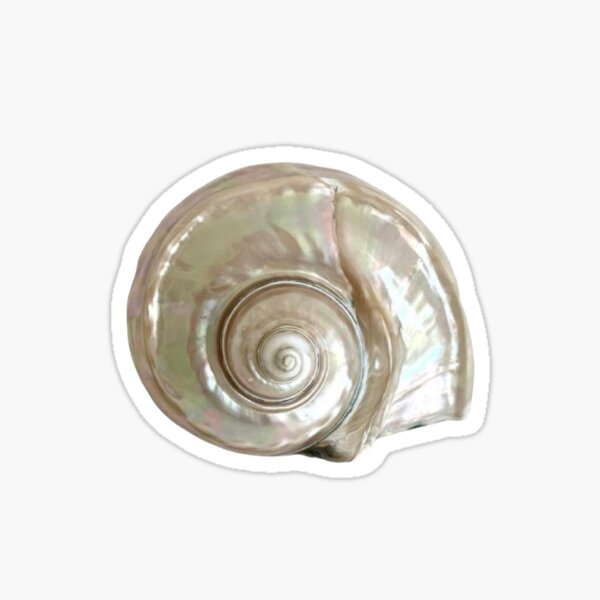 Vista previa del artículo con la obra «Nautilus Shell», diseñado y vendido por ordinaryescape.