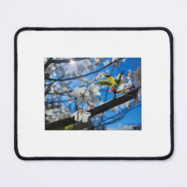 Item preview, Prunus Series #4 designed and sold by cubanmama.