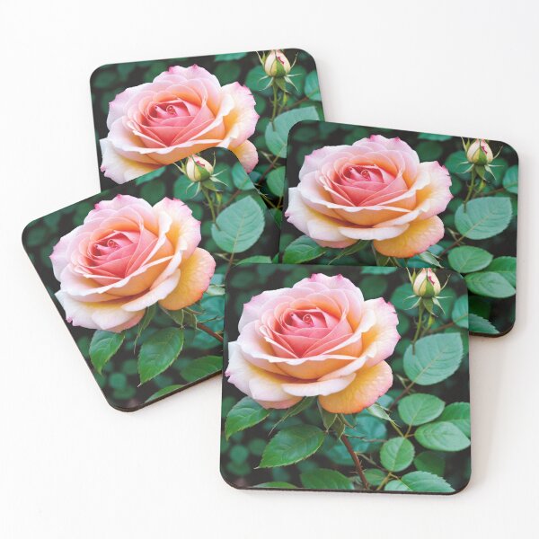 Item preview, Stunning Leafy Pink Rose In Full Bloom  designed and sold by CarrollGene.