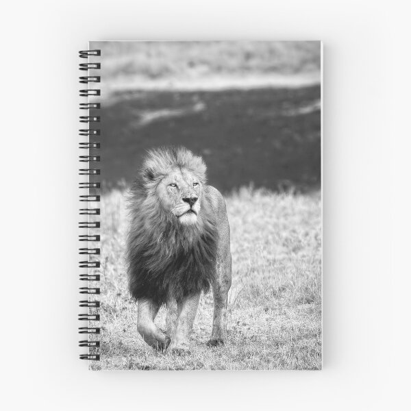 Item preview, Majesty In Black and White designed and sold by Kay Brewer.