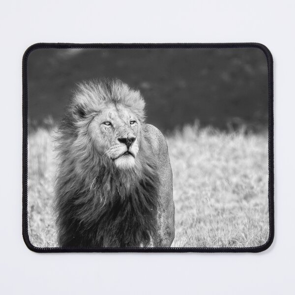 Item preview, Majesty In Black and White designed and sold by Kay Brewer.
