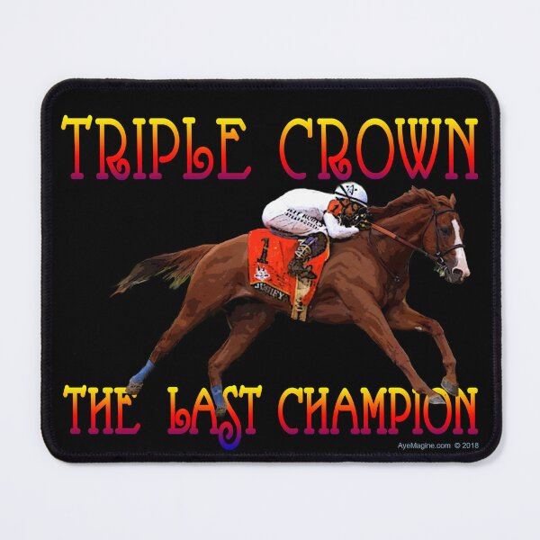 Item preview, The Last Champion designed and sold by ayemagine.